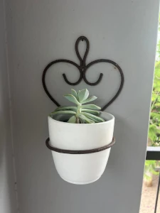 heart-plant-holder1.webp