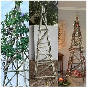 trellis-climber-frame1.webp